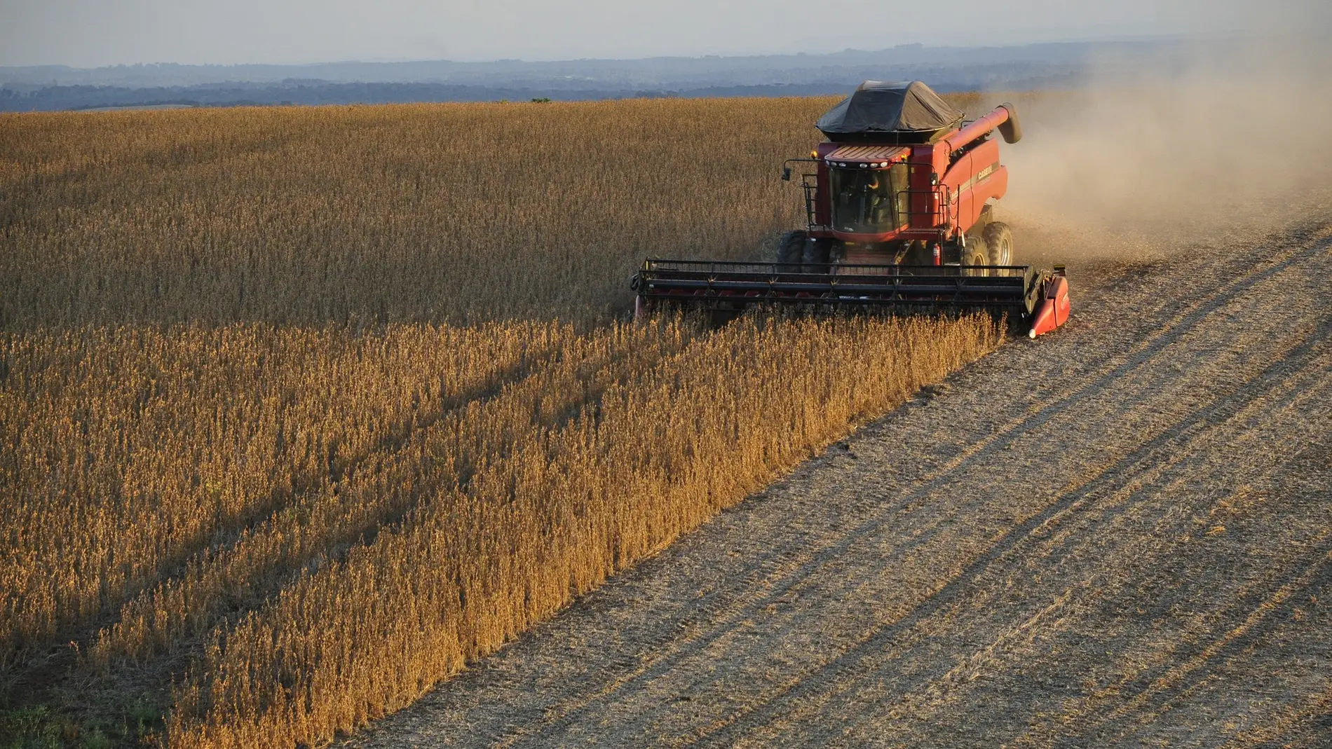 Las importaciones de cacao cafe y soja de la UE estaran en peligro por la crisis climatica