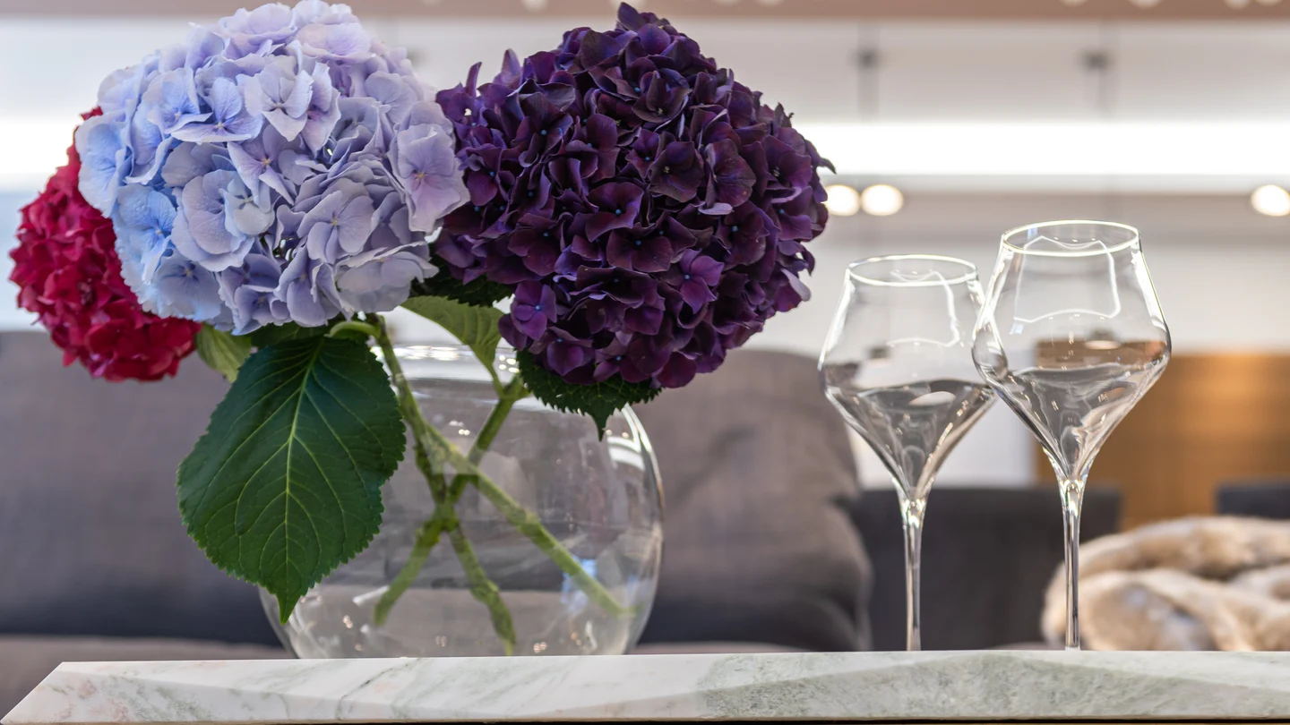 Cómo cultivar hortensias: guía de cuidados Cómo cultivar hortensias: guía de cuidados
