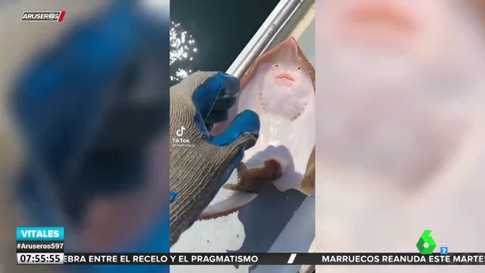 MANTA RAYA MANTA RAYA