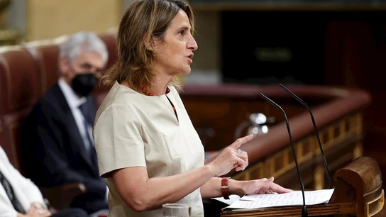 La ministra para la Transición Ecológica y el Reto Demográfico, Teresa Ribera La ministra para la Transición Ecológica y el Reto Demográfico, Teresa Ribera