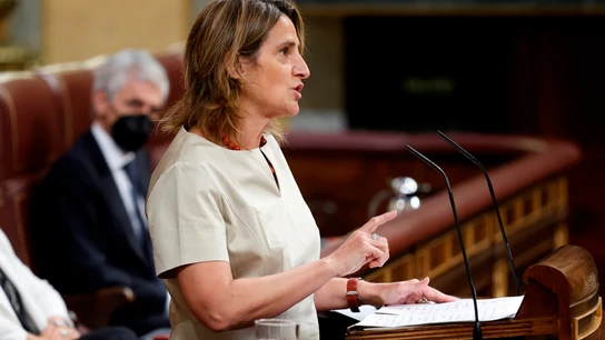 La ministra para la Transición Ecológica y el Reto Demográfico, Teresa Ribera, durante el pleno posterior a la sesión de control del Congreso celebrada este miércoles Teresa Ribera
