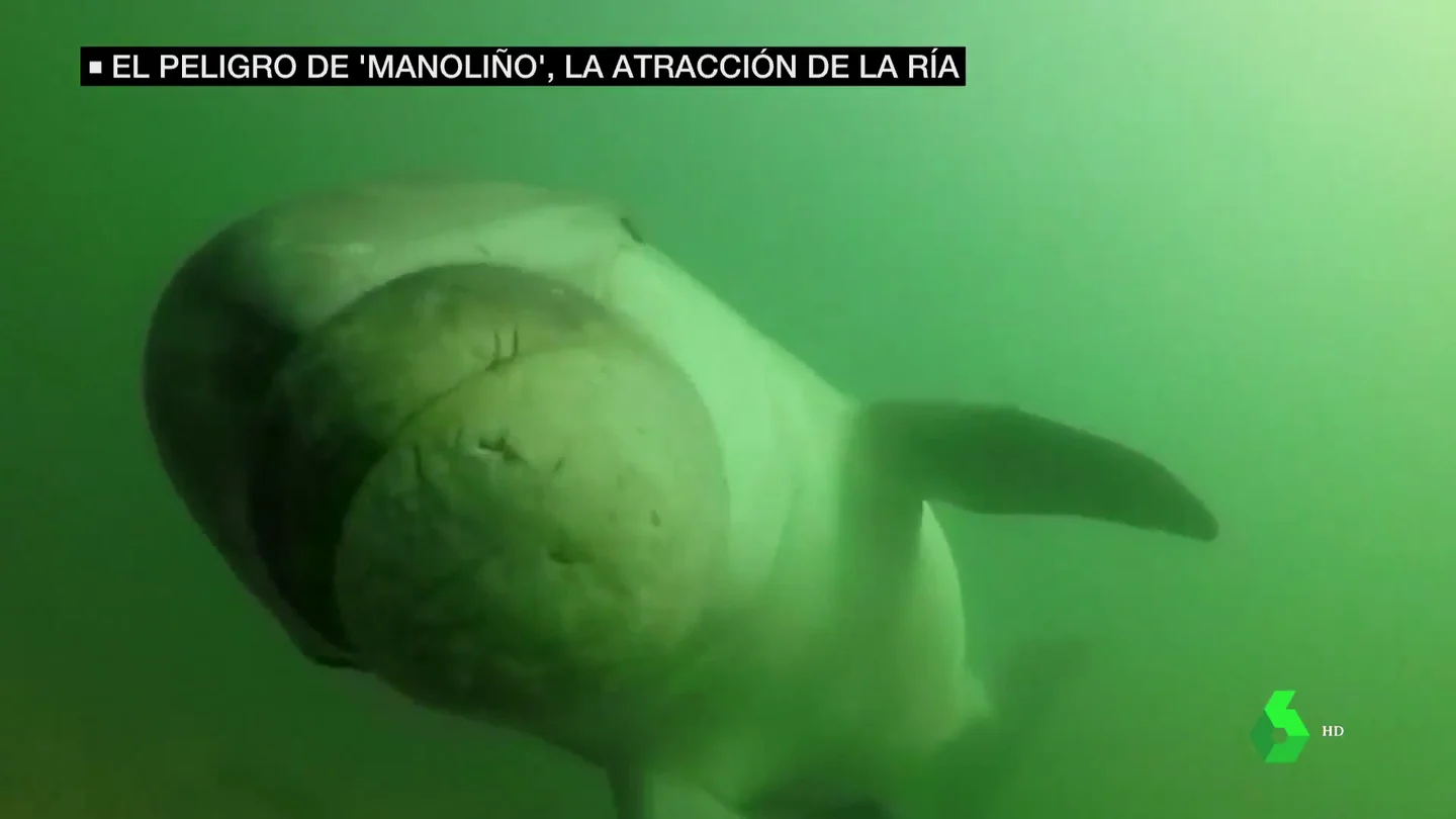 Manoliño defin Manoliño defin