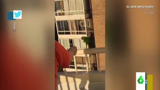 El impactante momento en el que un loro se lanza al vacío: "Tiene pinta de suicidio" El impactante momento en el que un loro se lanza al vacío: "Tiene pinta de suicidio"