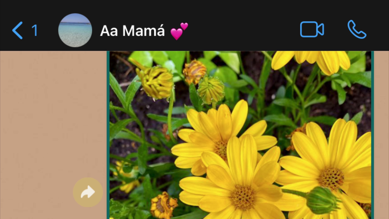 Estas son algunas de las novedades más esperadas que pronto veremos en WhatsApp