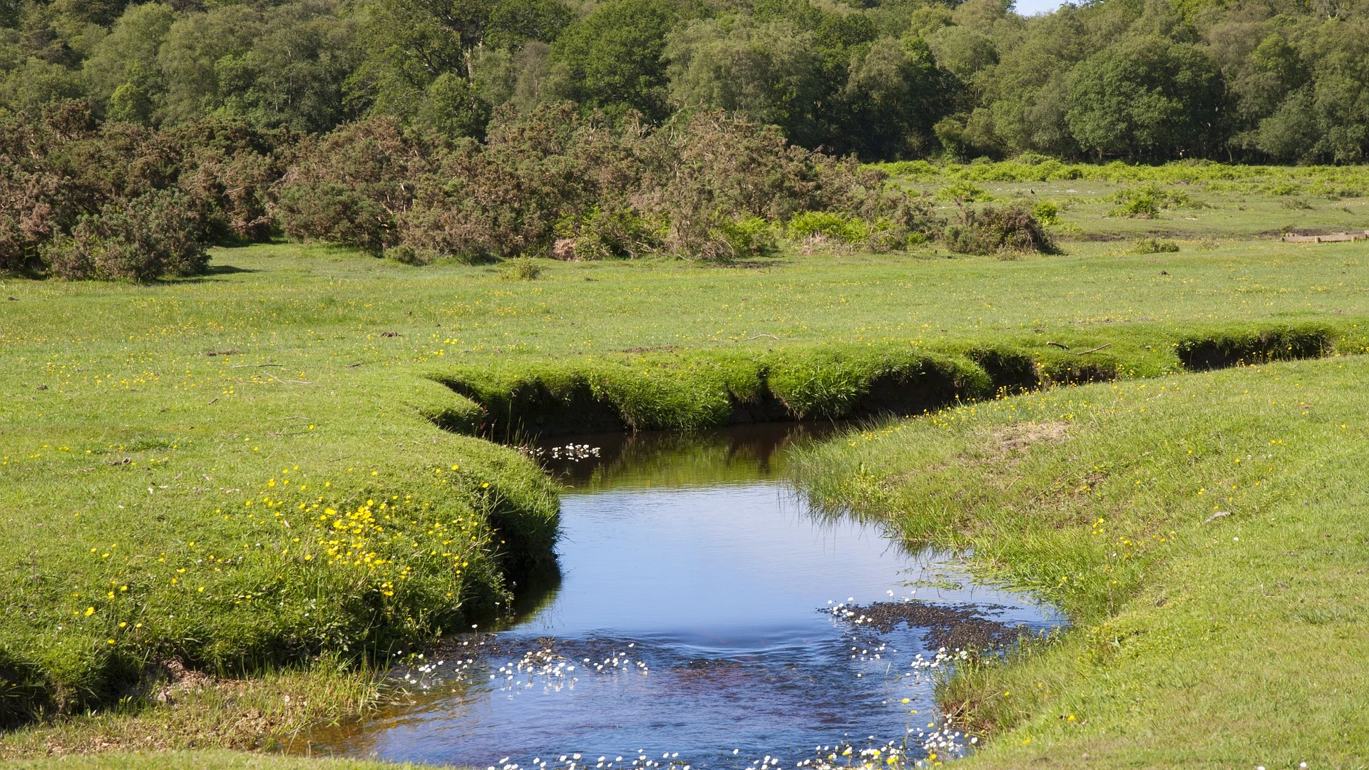 Imagen de archivo de un río en Reino Unido