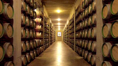 Barricas en bodega Marqués de Riscal