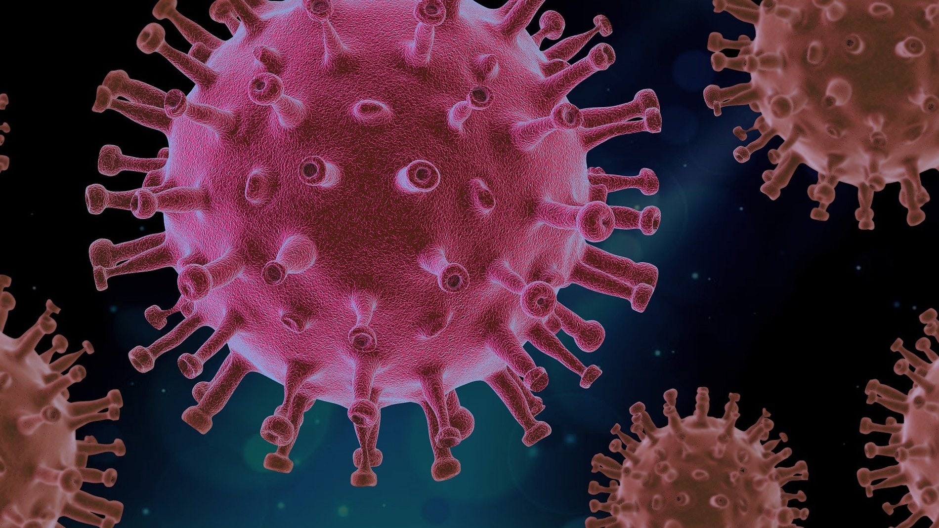 imagen del virus SARS-CoV-2