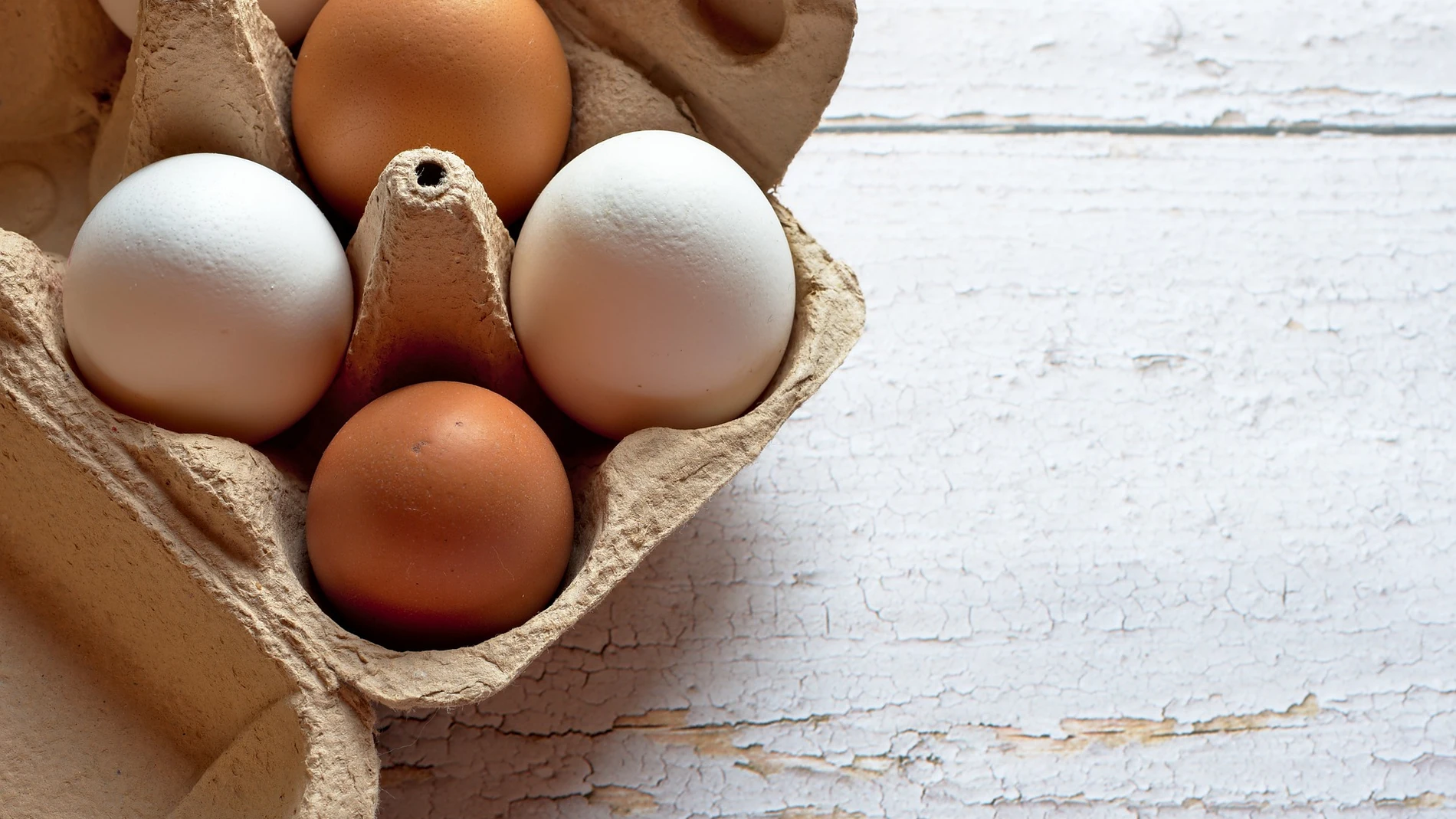 Vugge lindre ledelse Cómo saber si un huevo está malo o bueno