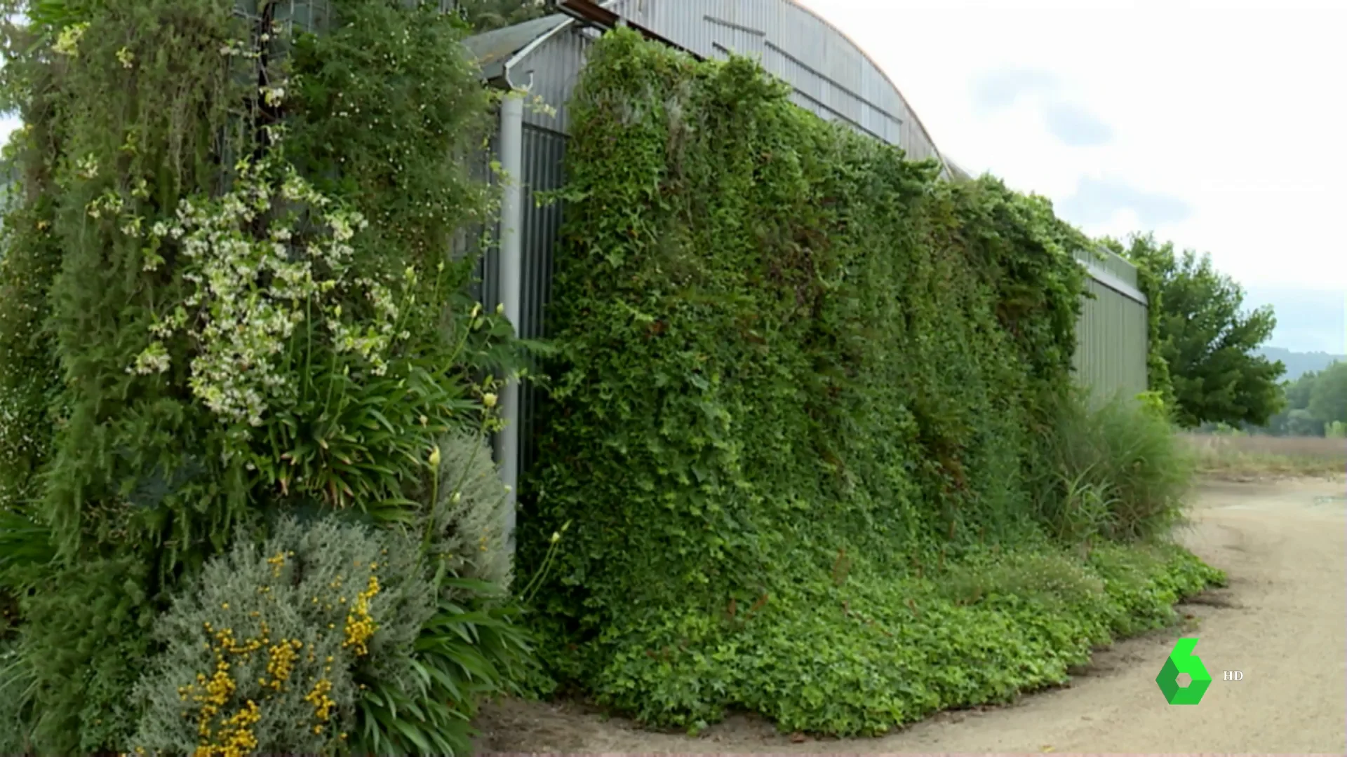 Muros vegetales, la alternativa para crear urbes sostenibles que empieza a llegar a España