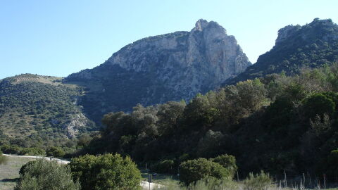 Peñón de Zaframagón