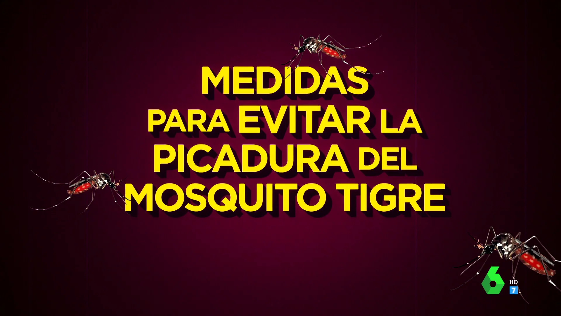 soluciones mosquitos