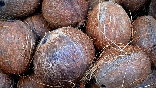 Cómo saber si un coco está bueno Cómo saber si un coco está bueno