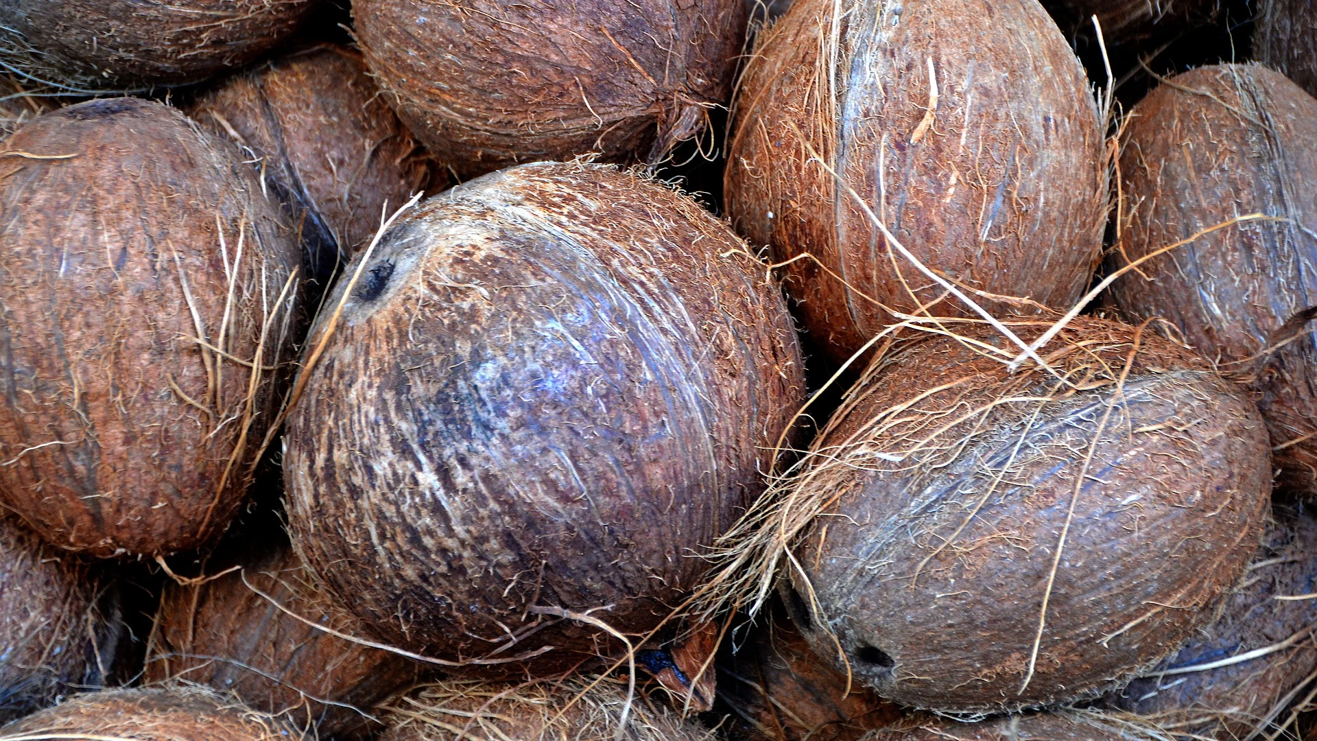 Cómo saber si un coco está bueno