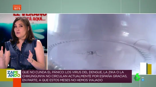 mosquitos mosquitos