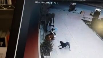 Brutal ataque de un perro a una niña de dos años en Murcia