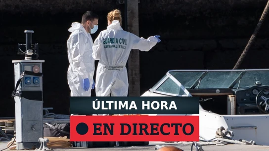 Novedades y última hora de la desaparición de las niñas de Tenerife: Anna, Olivia y Tomás Gimeno y noticias de la madre hoy EFE