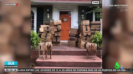 MATERIAL SANITARIO AMAZON MATERIAL SANITARIO AMAZON