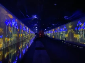 TeamLab Reconnect TeamLab Reconnect