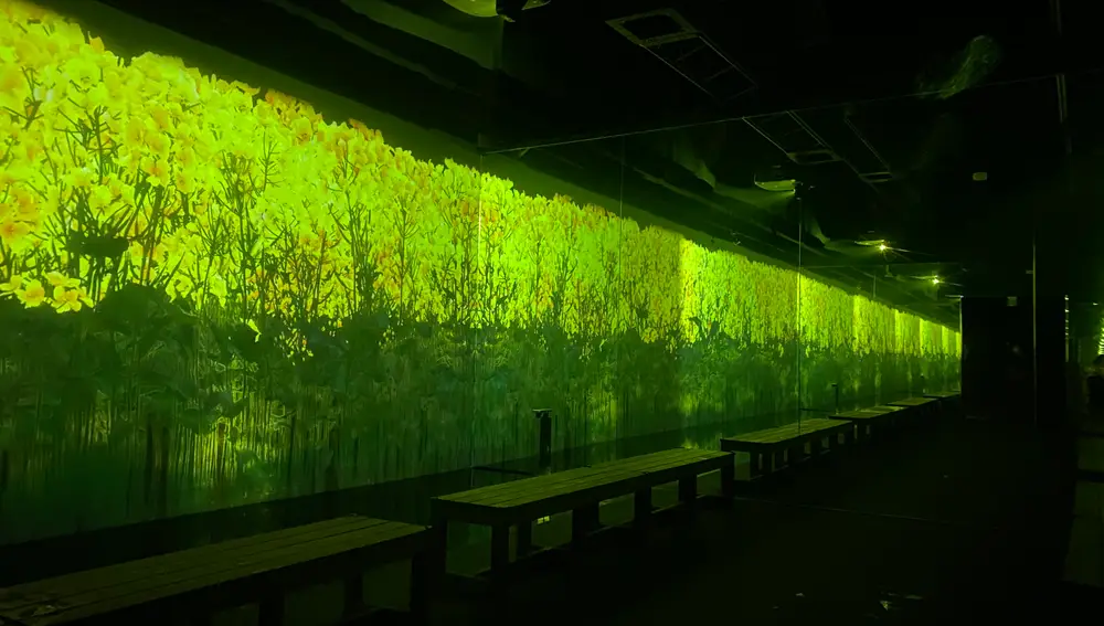 TeamLab Reconnect