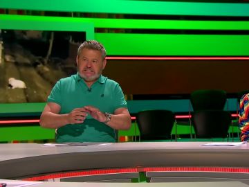 Miki Nadal en Zapeando