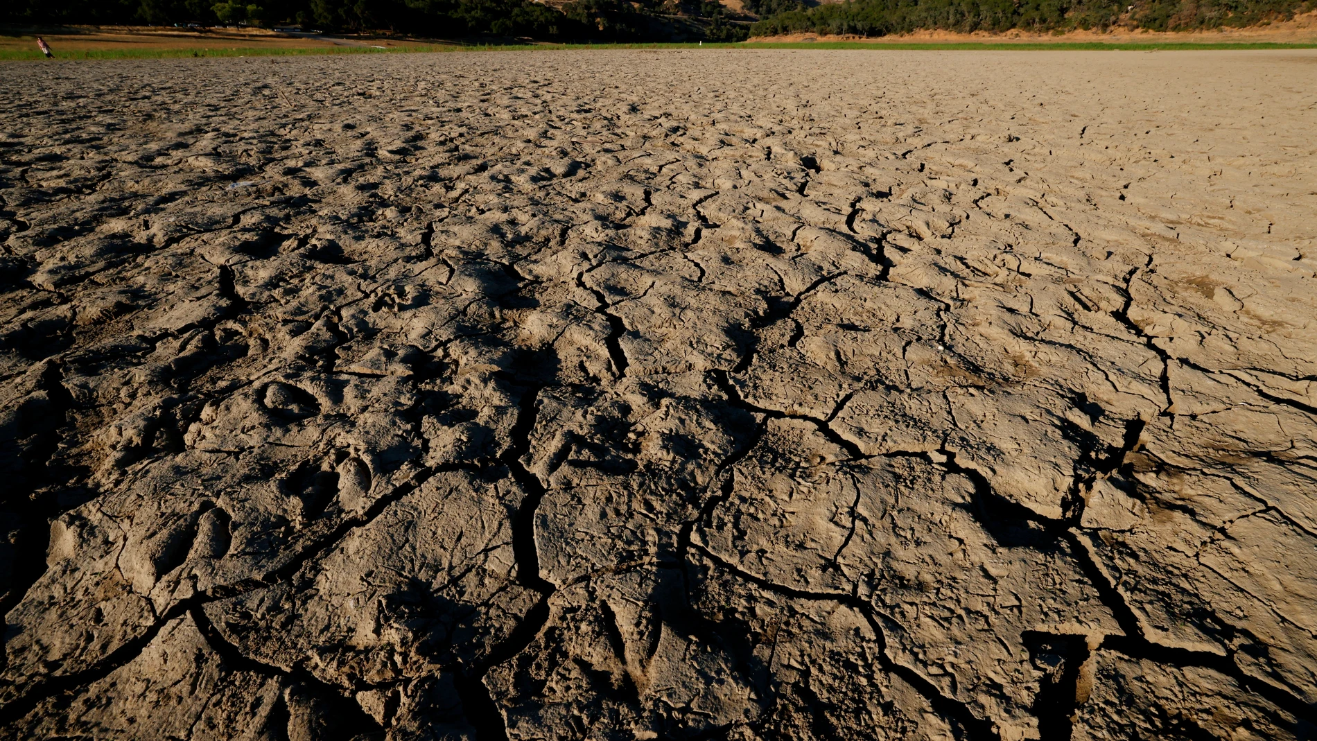 Fotografía del lecho seco del Lago Mendocino, el 22 de junio de 2021, en Ukiah (EEUU)