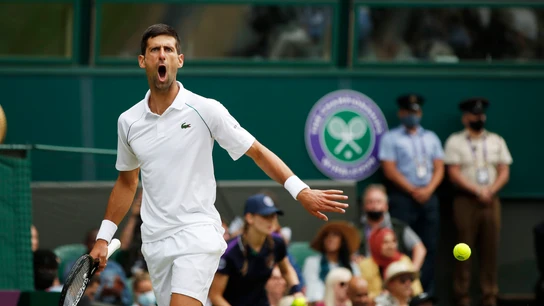Novak Djokovic celebra un punto en la final de Wimbledon contra Berrettini Novak Djokovic celebra un punto en la final de Wimbledon contra Berrettini