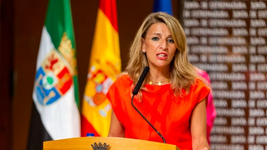 La vicepresidenta segunda y ministra de Trabajo y Economía Social, Yolanda Díaz La vicepresidenta segunda y ministra de Trabajo y Economía Social, Yolanda Díaz