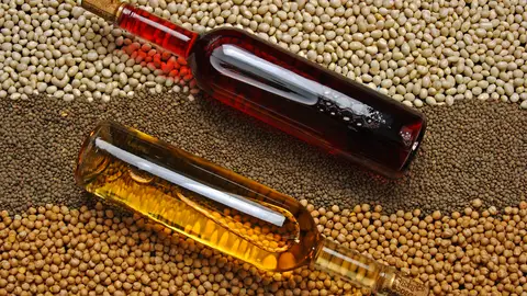Legumbres y vinos de León Legumbres y vinos de León