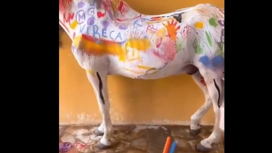 Indignación por un cursillo infantil en Murcia donde los niños pintaban a un caballo Indignación por un cursillo infantil en Murcia donde los niños pintaban a un caballo