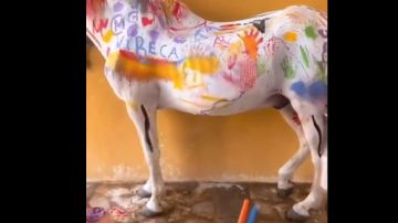 Indignación por un cursillo infantil en Murcia donde los niños pintaban a un caballo