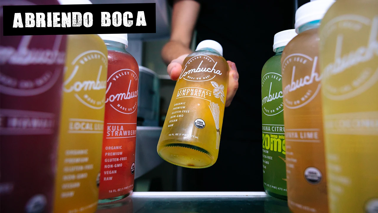 Kombucha: ¿qué es y por qué puede ser peligrosa?