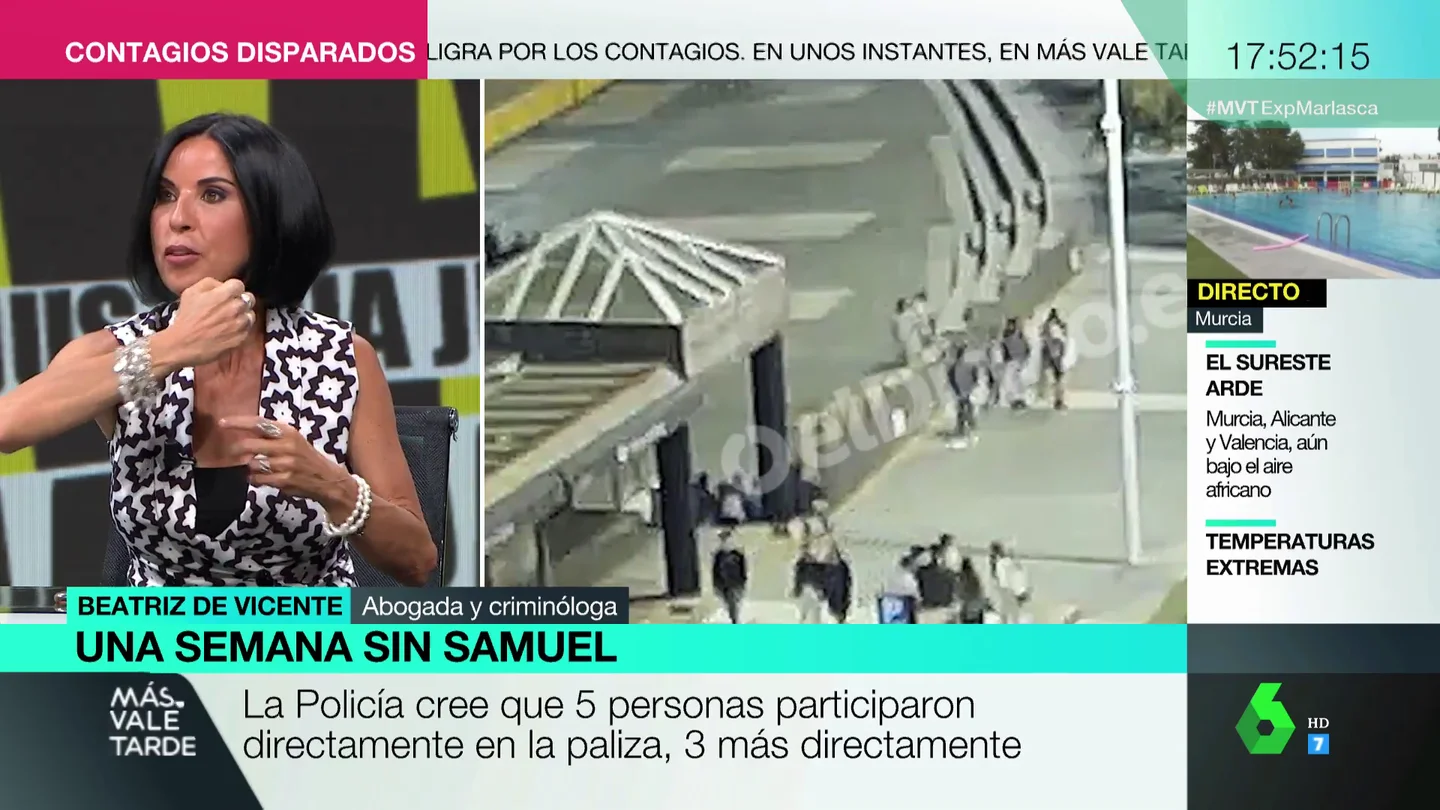 La autopsia de Samuel desvela que pudieron usar una botella o un puño americano para hacerle una herida de 10cm en el cráneo La autopsia de Samuel desvela que pudieron usar una botella o un puño americano para hacerle una herida de 10cm en el cráneo