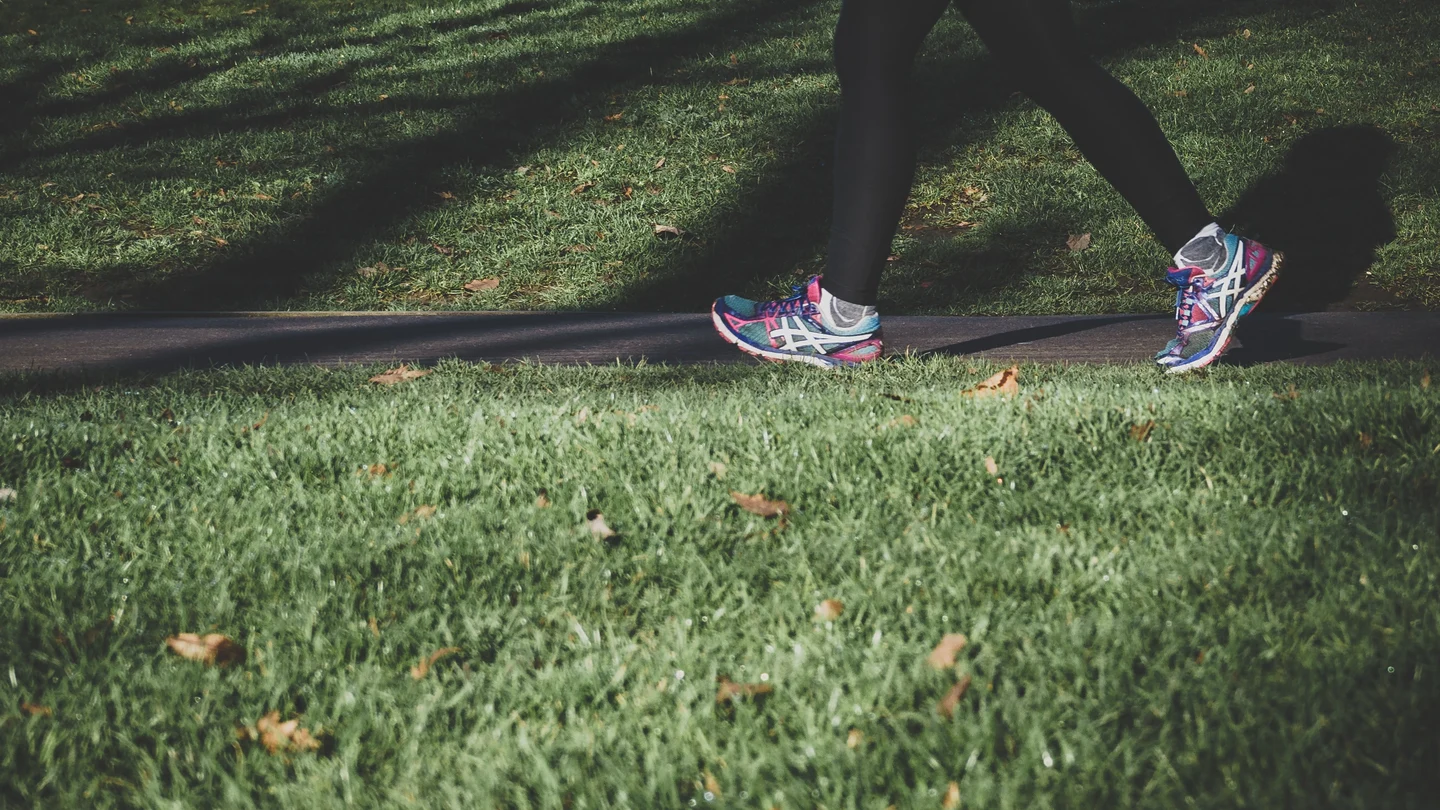 ¿Estamos obsesionados con los 10.000 pasos? Estas son las claves para hacer ejercicio físico con salud y adelgazar ¿Estamos obsesionados con los 10.000 pasos? Estas son las claves para hacer ejercicio físico con salud y adelgazar