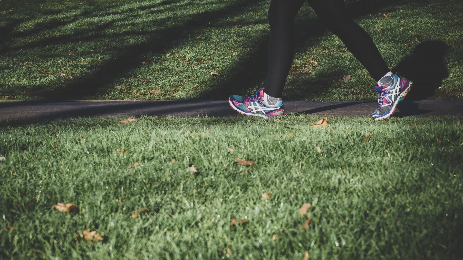 ¿Estamos obsesionados con los 10.000 pasos? Estas son las claves para hacer ejercicio físico con salud y adelgazar 