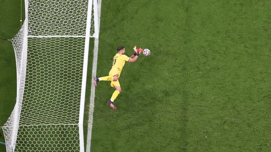 Donnarumma Donnarumma