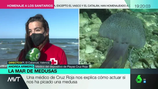 Medusas Medusas