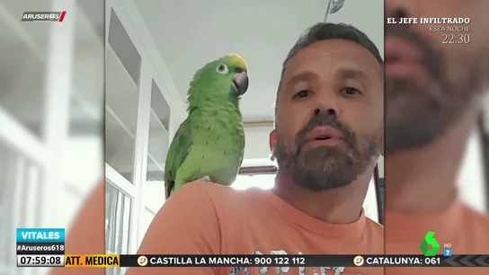 El vídeo del loro que imita a todo tipo de animales: gato, caballo, cerdo, gallina, gallo... El vídeo del loro que imita a todo tipo de animales: gato, caballo, cerdo, gallina, gallo...
