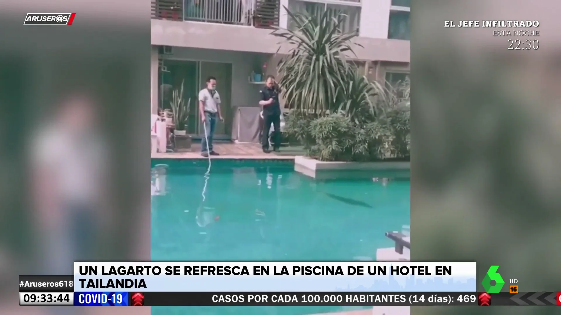 Un lagarto gigante se cuela en la piscina de un hotel