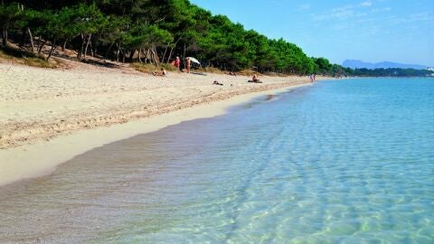Playa de Alcudia