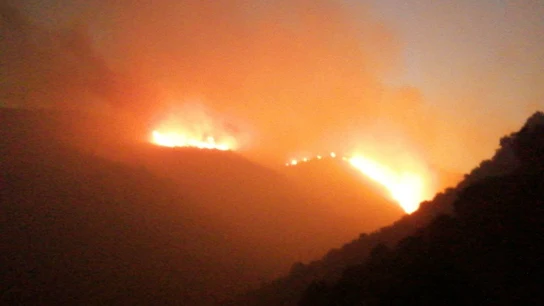 Incendio forestal en Llançà Incendio forestal en Llançà