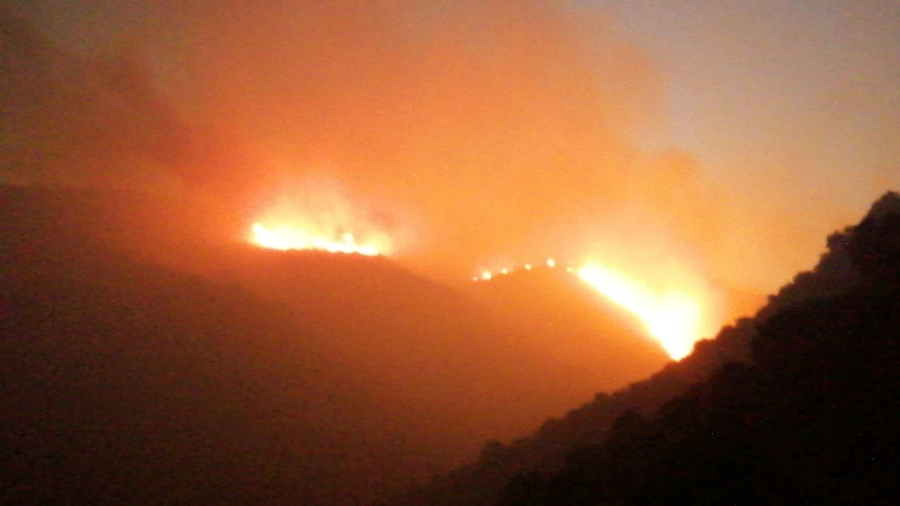 Incendio forestal en Llançà