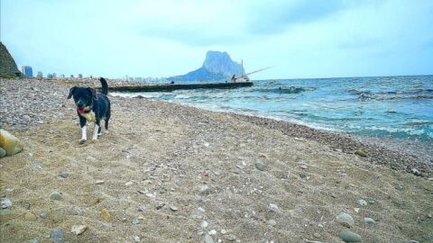 Cala les Urques