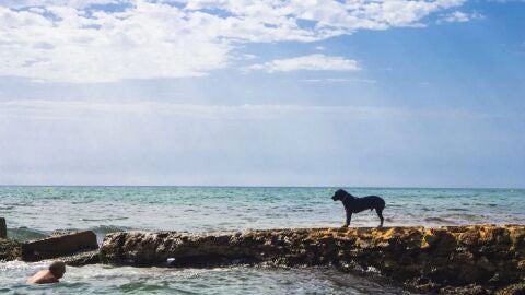 Playa Agua Amarga 
