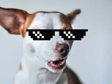 Crea tu propios memes de una forma rápida y sencilla con cava Crea tu propios memes de una forma rápida y sencilla con cava