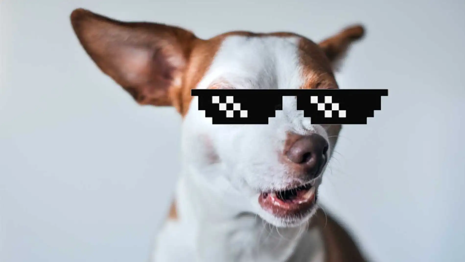 Crea tu propios memes de una forma rápida y sencilla con cava Crea tu propios memes de una forma rápida y sencilla con cava