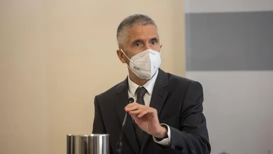 El ministro del Interior, Fernando Grande-Marlaska, da una rueda de prensa. El ministro del Interior, Fernando Grande-Marlaska, da una rueda de prensa.