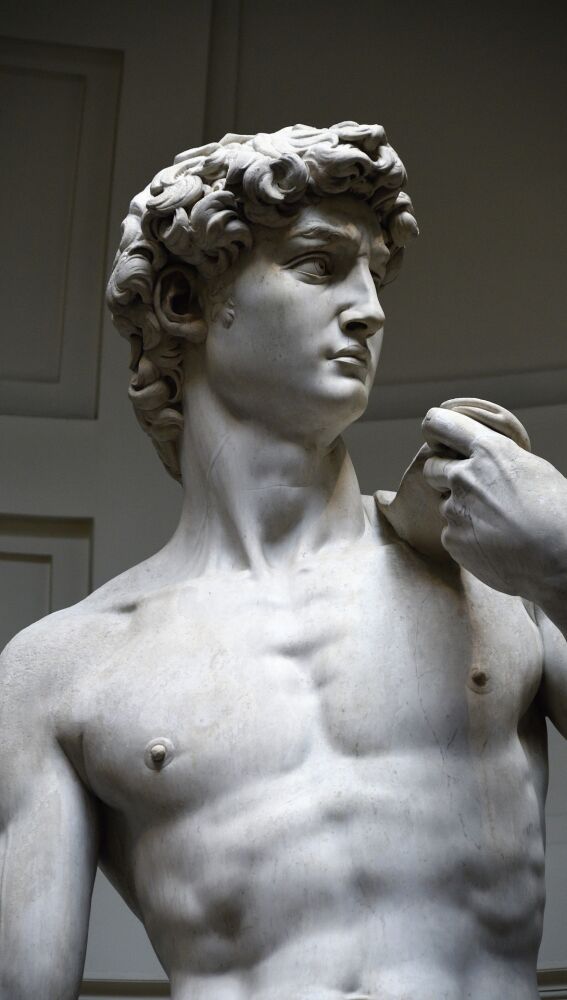 Michelangelo (1504). David [mármol blanco]. Galería de la Academia, Florencia (Italia). 