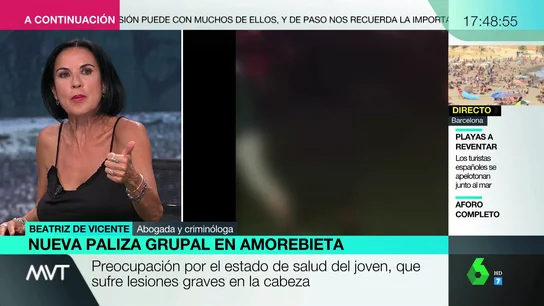 Beatriz de Vicente Beatriz de Vicente