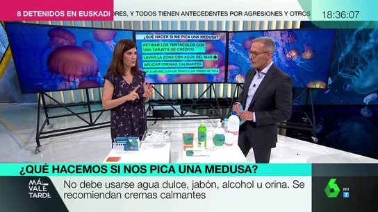 ¿Qué hago si me pica una medusa? Pasos a seguir para deshacerse de ella y aliviar el dolor ¿Qué hago si me pica una medusa? Pasos a seguir para deshacerse de ella y aliviar el dolor