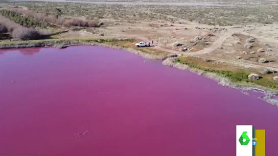 ¿Quieres fotos espectaculares en un lago rosa? Ojo, puede estar contaminado ¿Quieres fotos espectaculares en un lago rosa? Ojo, puede estar contaminado